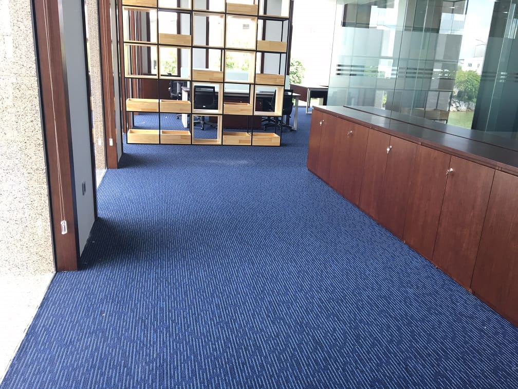 IMG_7913